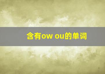 含有ow ou的单词